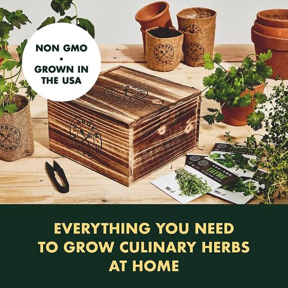 Indoor Herb Garden Starter Kit - Basil Thyme Parsley Cilantro Seed - Picture 2 of 6